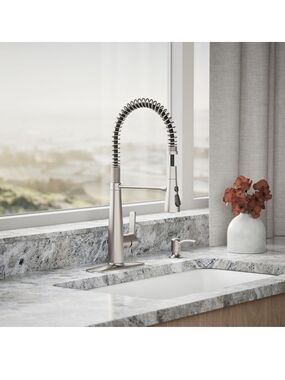Kohler R22745-SD-VS Semiprofessional Kitchen Faucet